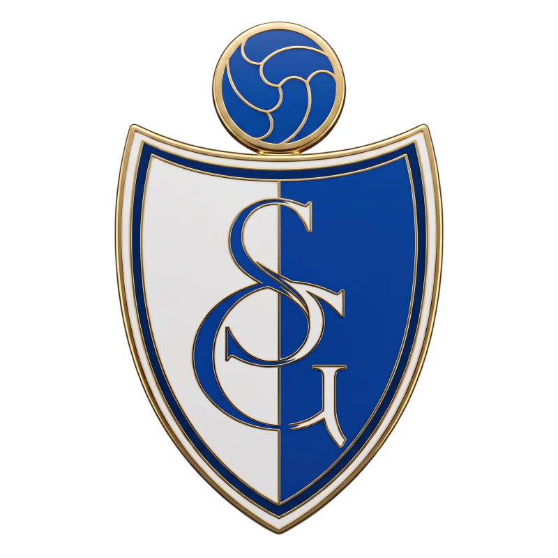 Sinandede Gücü 1977 SK
